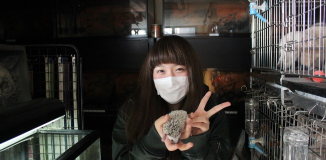 ハリネズミの飼い主様がお迎えにきましたぁ(*^_^*)