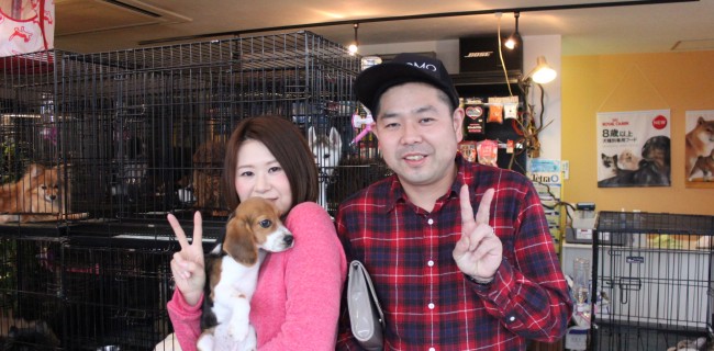 ビーグルの女の子、ご家族がお迎えが来ましたぁ(*^_^*)