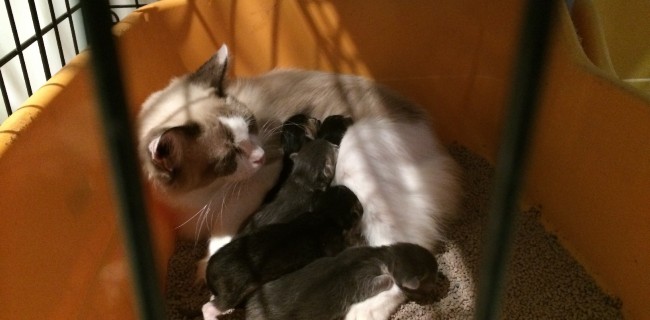 BABY誕生(^^♪ BABY誕生(^^♪