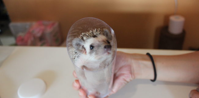 ぞくぞく決まるで♡