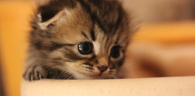 成長してきました♪