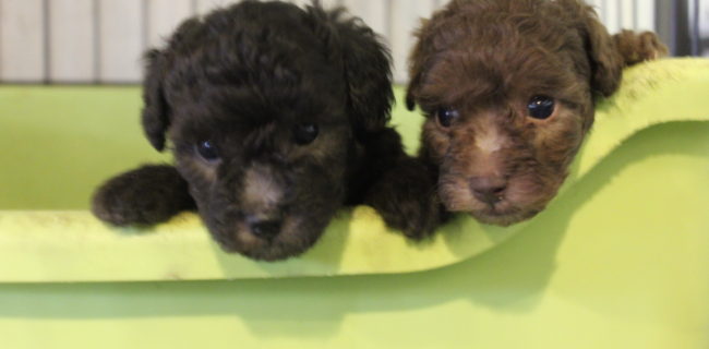 成長してきました♪②